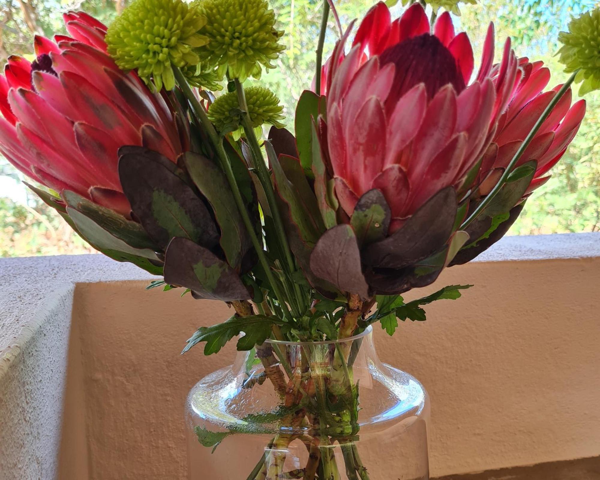 The Dreamcatcher Lodge Hoedspruit Eksteriør bilde